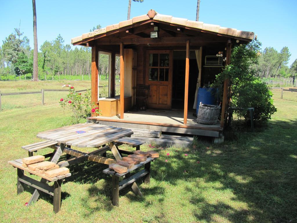 Gite Foret Landaise Sainte-Eulalie-en-Born Eksteriør billede