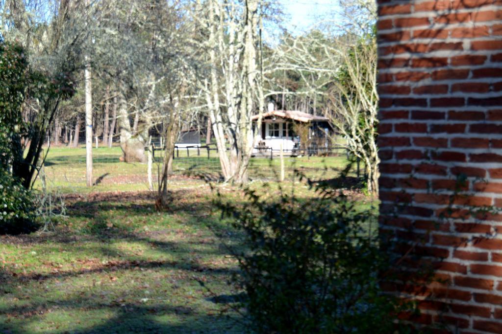 Gite Foret Landaise Sainte-Eulalie-en-Born Eksteriør billede